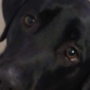 Meet your Posher, Jeff